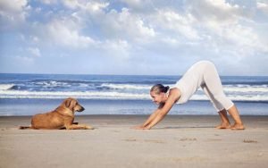 yoga is so good for you